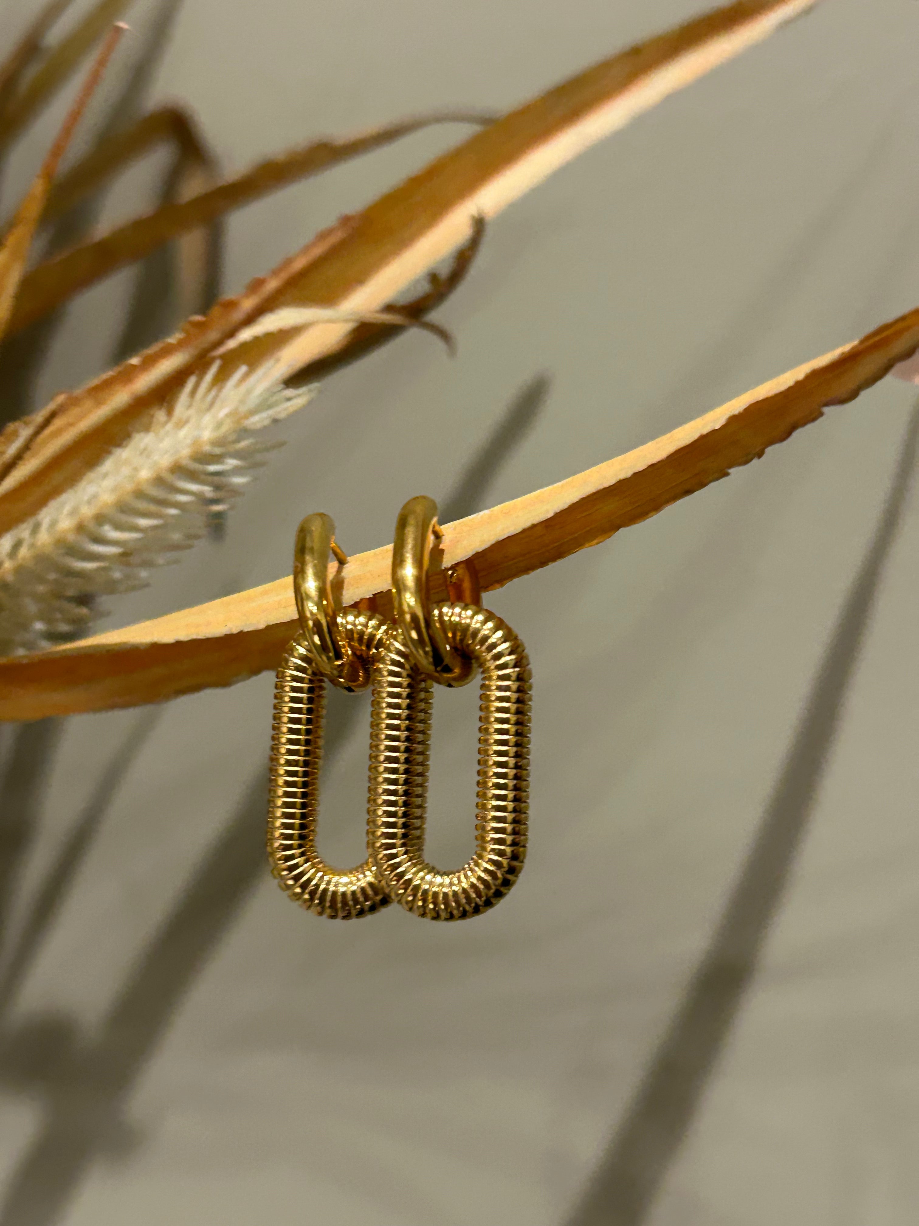 Double D Earrings